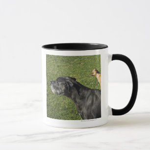 Chihuahua auf der Rückseite 2 der Deutschen Dogge Tasse