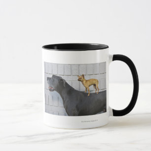 Chihuahua auf der Rückseite der Deutschen Dogge Tasse