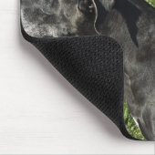 Chihuahua auf Great Dane's Back 2 Mousepad (Ecke)