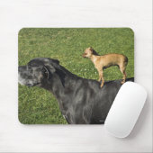 Chihuahua auf Great Dane's Back 2 Mousepad (Mit Mouse)