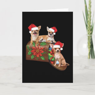 Chihuahua Auf Karton Brief Weihnachtsbaumschmuck S Karte