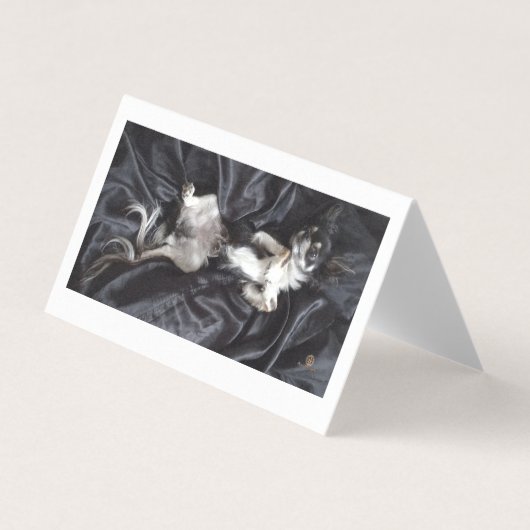 Chihuahua auf schwarzer Seide (Vorderseite)