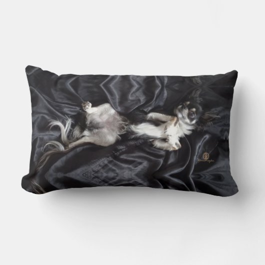 Chihuahua auf schwarzer Seide Lendenkissen (Vorderseite)