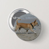 Chihuahua auf Strand Button (Vorne & Hinten)