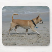 Chihuahua auf Strand Mousepad (Vorne)