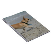 Chihuahua auf Strand Notizblock (Rechte Seite)
