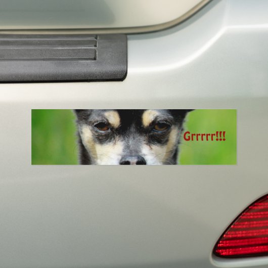 Chihuahua! Autoaufkleber (Auf Auto)