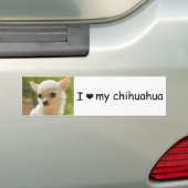 Chihuahua-Autoaufkleber Autoaufkleber (Auf Auto)