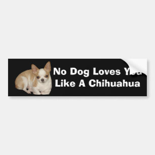 Chihuahua-Autoaufkleber Autoaufkleber