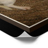 Chihuahua Behalte ein augenoffenes Poster (Ecke)