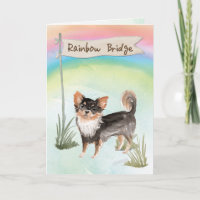 Chihuahua-Beileid über Regenbogen
