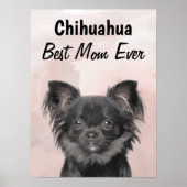 Chihuahua Best Mama Poster (Vorne)