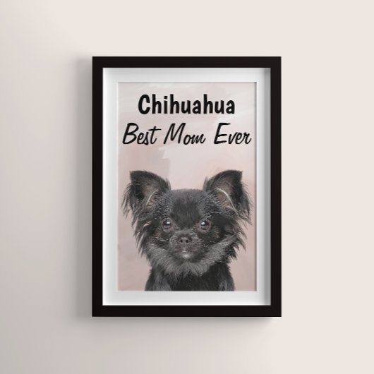 Chihuahua Best Mama Poster