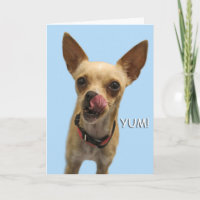 Chihuahua Birthday Card durch Fokus für eine Sache