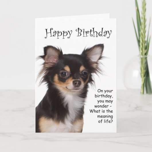 Chihuahua Birthday Card Karte (Vorderseite)