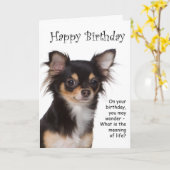 Chihuahua Birthday Card Karte (Gelbe Blume)