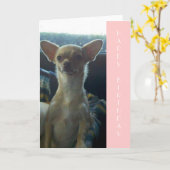 Chihuahua Birthday Card Karte (Gelbe Blume)