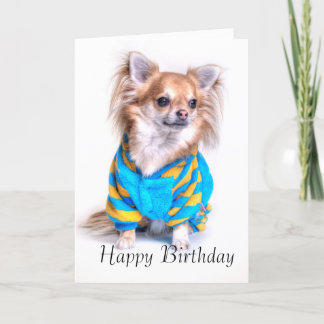 Chihuahua Birthday Card Karte