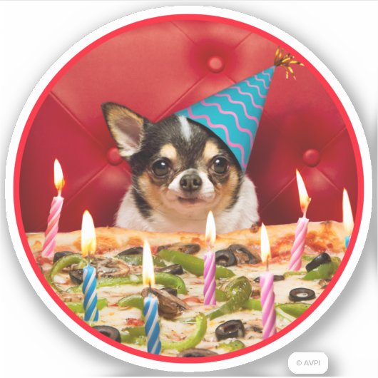 Chihuahua Birthday Pizza Pie Aufkleber (Vorderseite)