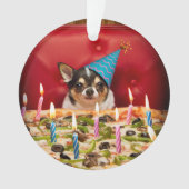 Chihuahua Birthday Pizza Pizza Ornament (Vorderseite)