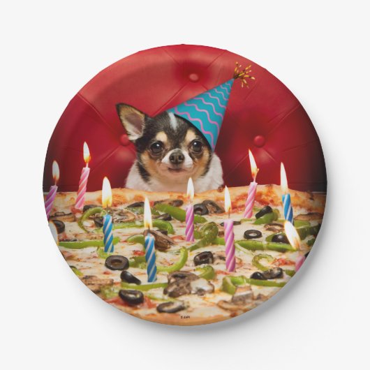 Chihuahua Birthday Pizza Pizza Pappteller (Vorderseite)