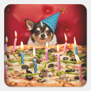 Chihuahua Birthday Pizza Pizza Quadratischer Aufkleber