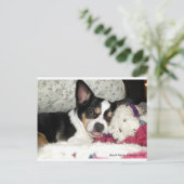 Chihuahua Blah Postkarte (Stehend Vorderseite)