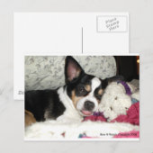 Chihuahua Blah Postkarte (Vorne/Hinten)