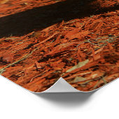 Chihuahua Blick auf die Kamera Poster (Ecke)