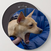 Chihuahua Button (Vorne & Hinten)
