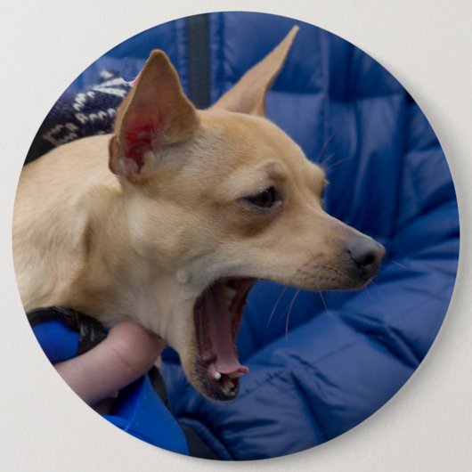 Chihuahua Button (Vorderseite)