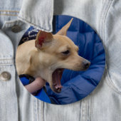 Chihuahua Button (Beispiel)