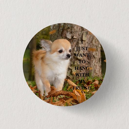 Chihuahua Button (Vorderseite)