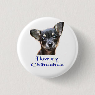 Chihuahua Button