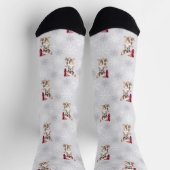 Chihuahua Chi Hund in Weihnachtsmannmütze Grau Socken (Oben)