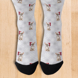 Chihuahua Chi Hund in Weihnachtsmannmütze Grau Socken