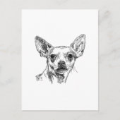 Chihuahua-Chiwawa-Hunde Postkarte (Vorderseite)