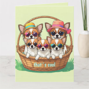 Chihuahua Coole Welpen Karte