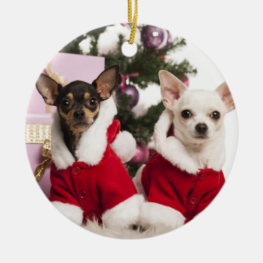 Chihuahua, der einen WeihnachtsAnzug sitzt und Keramik Ornament (Vorne)