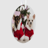 Chihuahua, der einen WeihnachtsAnzug sitzt und Ornament (Vorderseite)
