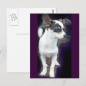 Chihuahua Dex Postkarte (Vorne/Hinten)