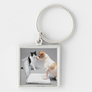 Chihuahua, die den Schirm eines Laptops Schlüsselanhänger