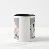 Chihuahua, die den Schirm eines Laptops Tasse (Zentrum)