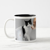 Chihuahua, die den Schirm eines Laptops Zweifarbige Tasse (Links)