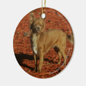 Chihuahua, die Kamera betrachten Keramikornament (Links)