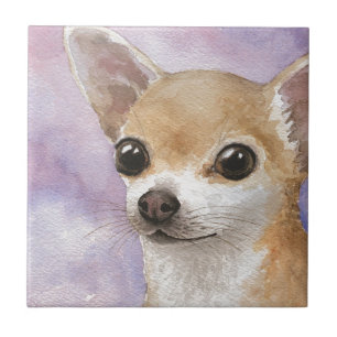 Chihuahua Dog 95 Fliese