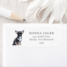 Chihuahua Dog-Adresse