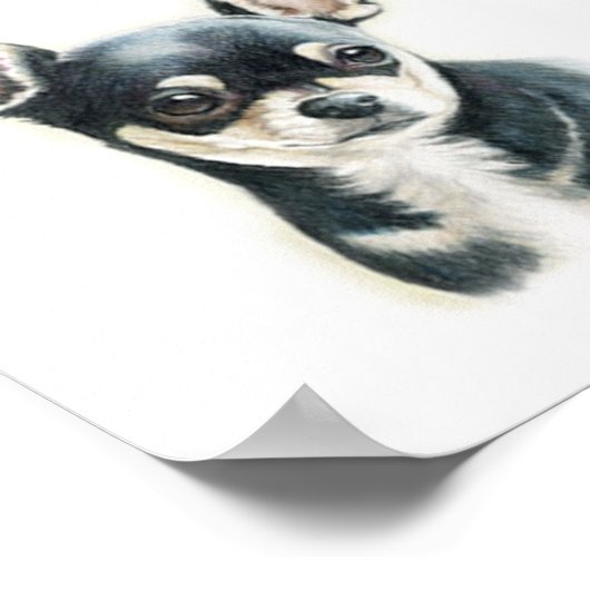 Chihuahua Dog Art Print Poster (Ecke)