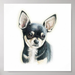 Chihuahua Dog Art Print Poster