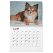 Chihuahua Dog Calendar Kalender (Mär 2027)